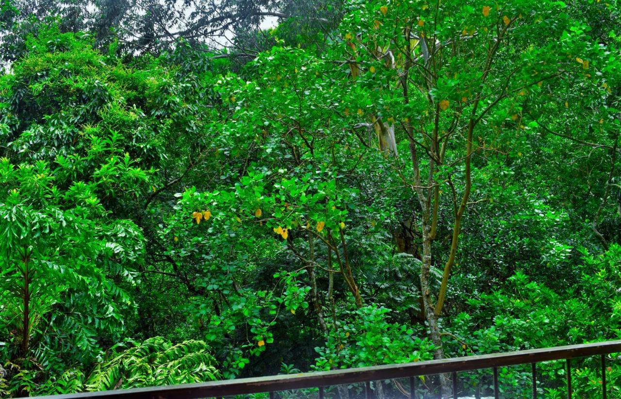 Green Cottage เอลลา ภายนอก รูปภาพ