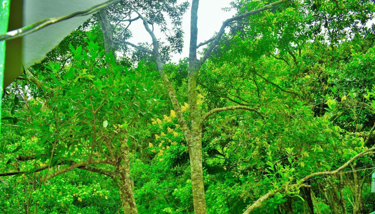 Green Cottage เอลลา ภายนอก รูปภาพ